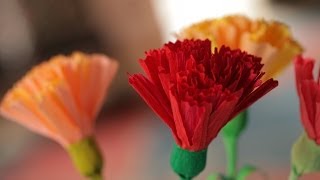 How to Make Crepe Paper Flowers [upl. by Annodahs]