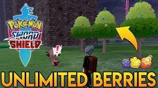 BERRY FARMING in Sword and Shield  Pokemon Berry Guide [upl. by Corel]