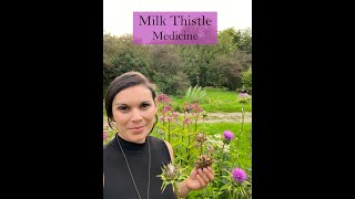 Milk Thistle Seed Medicine from the Ivywood Garden [upl. by Benn]