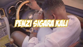 Twanga Pepeta  Penzi Sigara Kali Official Video [upl. by Zarah]