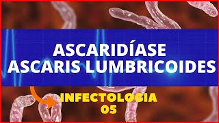 ASCARIDÍASE  ASCARIS LUMBRICOIDES LOMBRIGA  PARASITOLOGIA INFECTOLOGIA [upl. by Tomas]