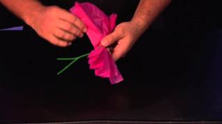 How to Make Mexican Paper Flowers [upl. by Atiker]