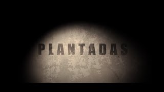 PLANTADAS Official Trailer [upl. by Bremer]